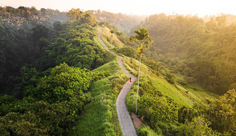 Rekomendasi Wisata Di Ubud Bali Yang Wajib Didatangi Ahabisnis