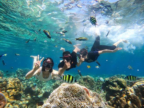 snorkeling Gili Trawangan